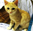 im alter von 12 Wochen